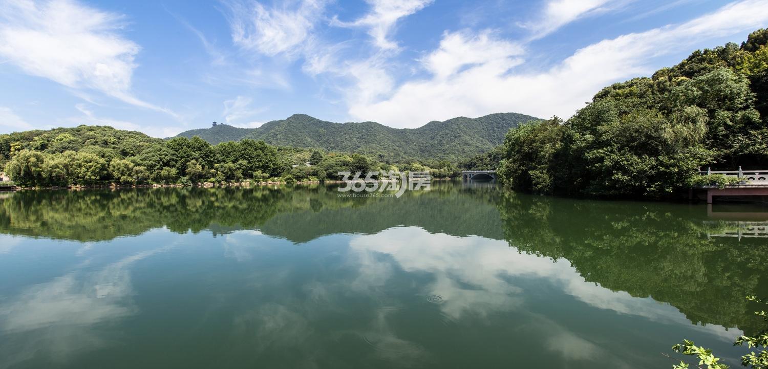 首开望宸周边的虎山水库