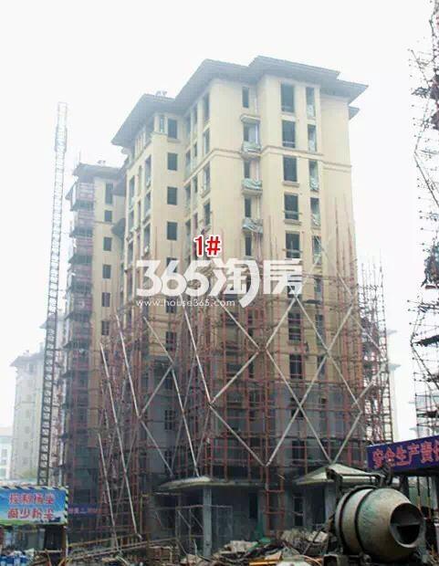 绿城蓝庭项目1号楼施工进程图（2015.12）