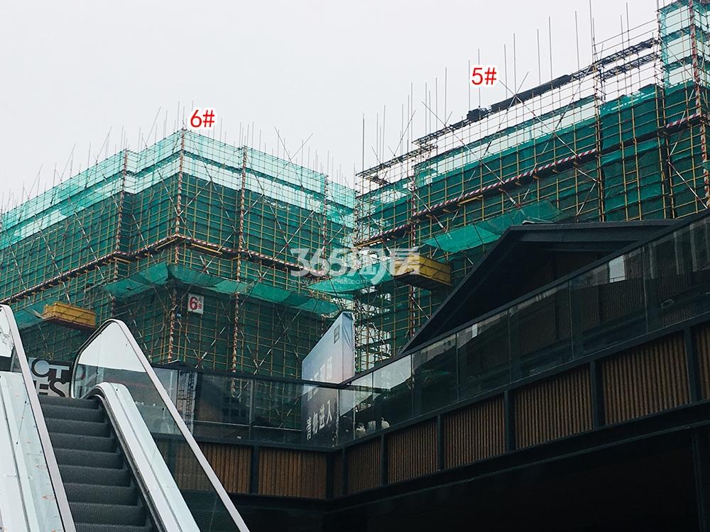 越秀西海岸实景图（2019.06）
