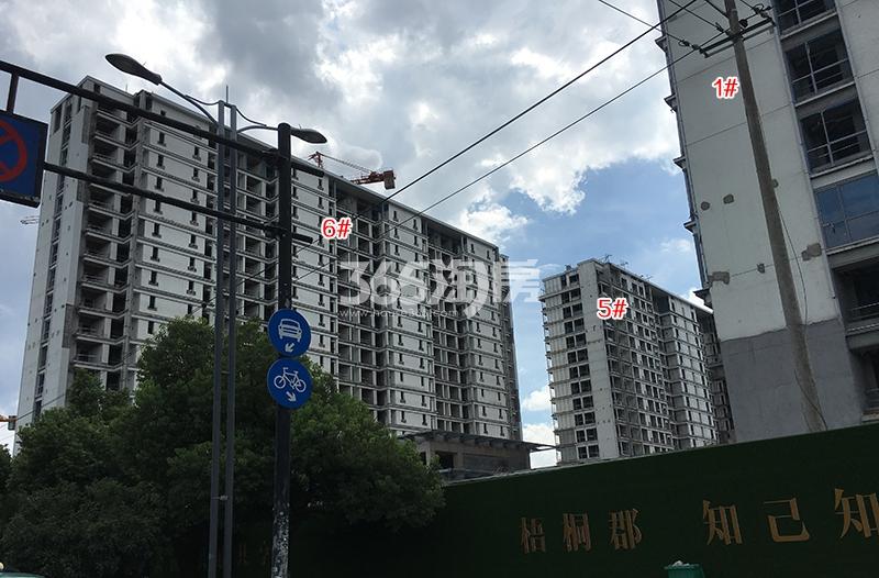 梧桐郡项目一期1、5、6号楼施工进程（2018.8）