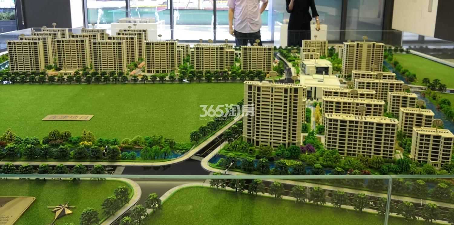 绿城象屿观澜逸品12号、13地块沙盘实景