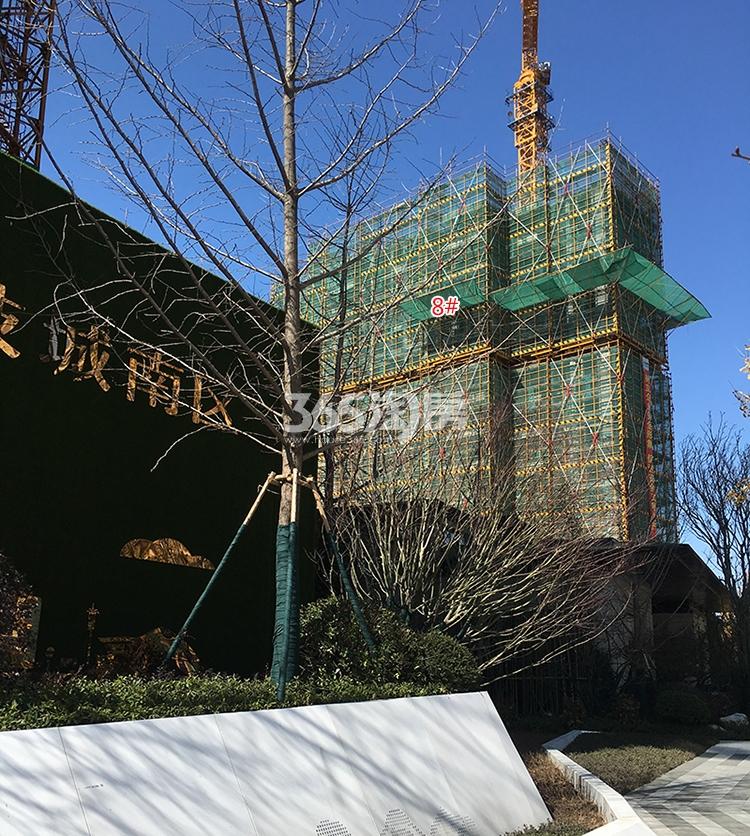 金辉贤林信步8号楼施工进程（2018.2）