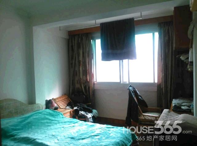 【黄金楼层 前面有棵树 夏天遮阳 冬天吸光 超好