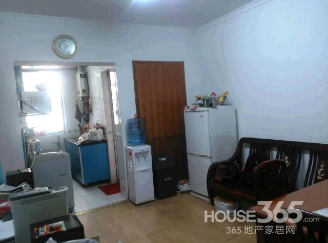 【黄金楼层 前面有棵树 夏天遮阳 冬天吸光 超好