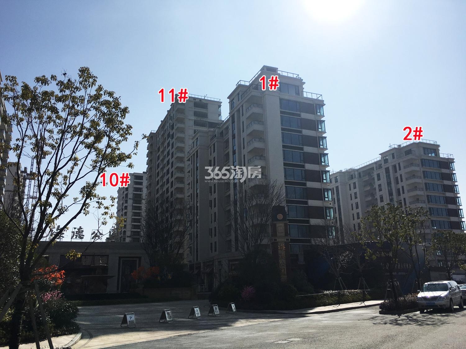 2018年2月底德信海德公园1、2、10、11号楼实景