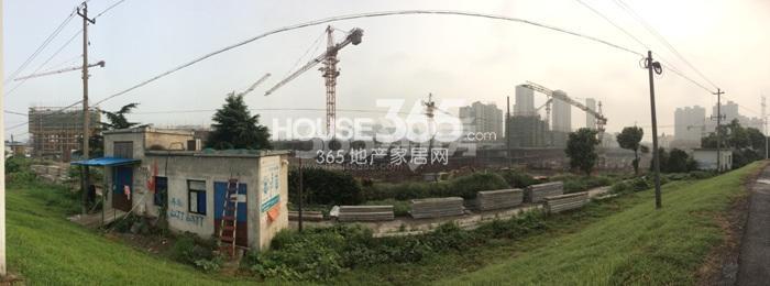 滨江东方海岸施工现场实景图 2015年8月摄