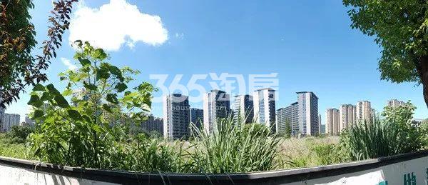 2018年7月滨江南星地块实景
