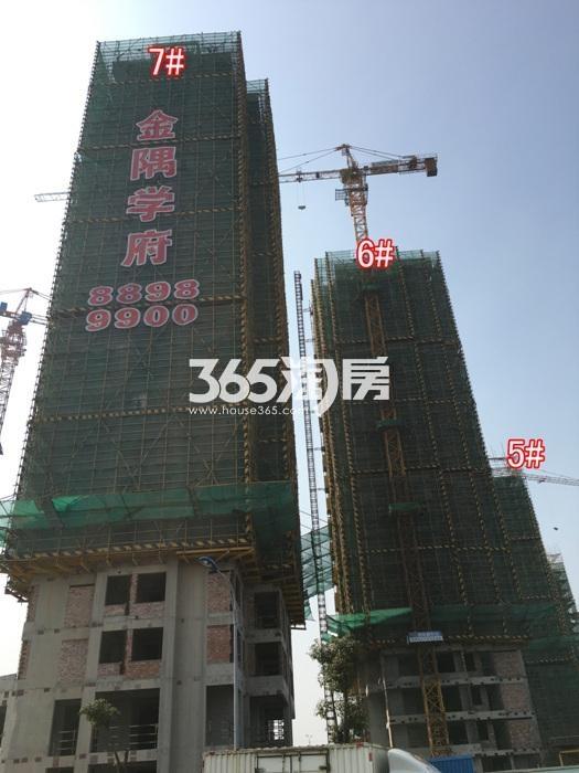 2016年2月金隅学府项目实景--5、6、7号楼
