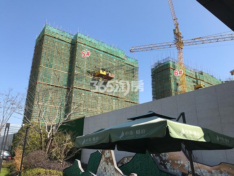中南樾府项目5、6号楼施工进程图（2018.2）