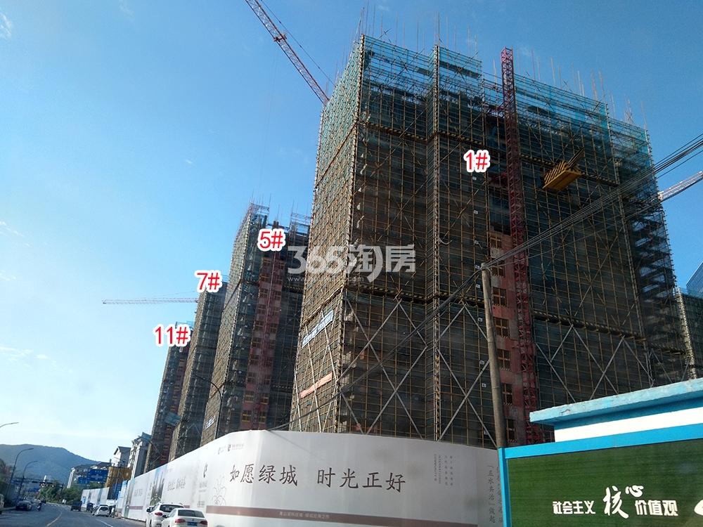 绿城国际社区工程进展（2019.05）