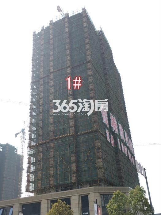 2016年2月钱塘玫瑰湾项目实景--1号楼