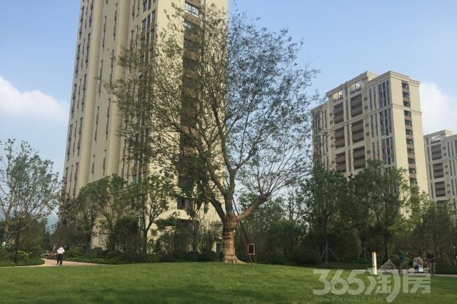 【多走一公里 房价二分一 四季金辉 舒适大四房