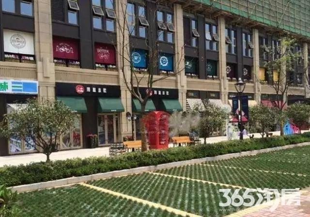 【河西东中南锦苑 百万沿街商铺 精装公寓 南站