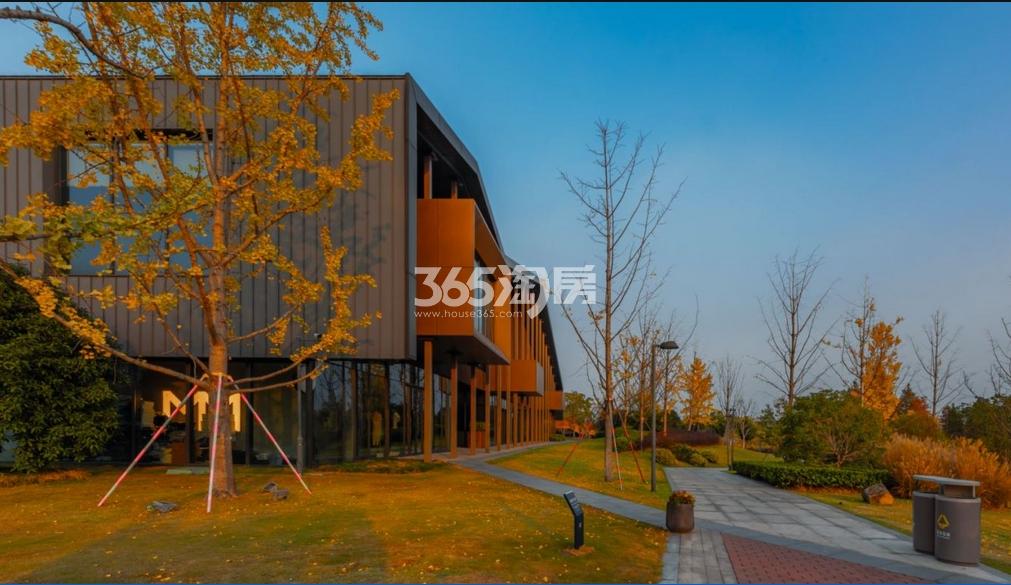 翡丽云邸周边艺尚小镇