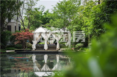 示范区