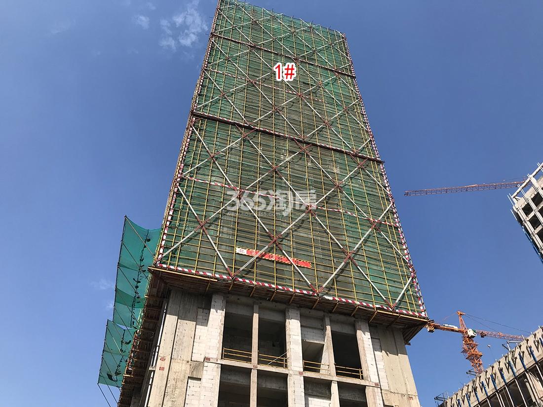 中豪湘和国际实景（2019.06）