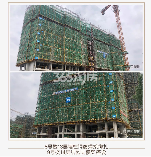 中天卓越风荷锦庭8、9#施工实景图（2019.7摄）