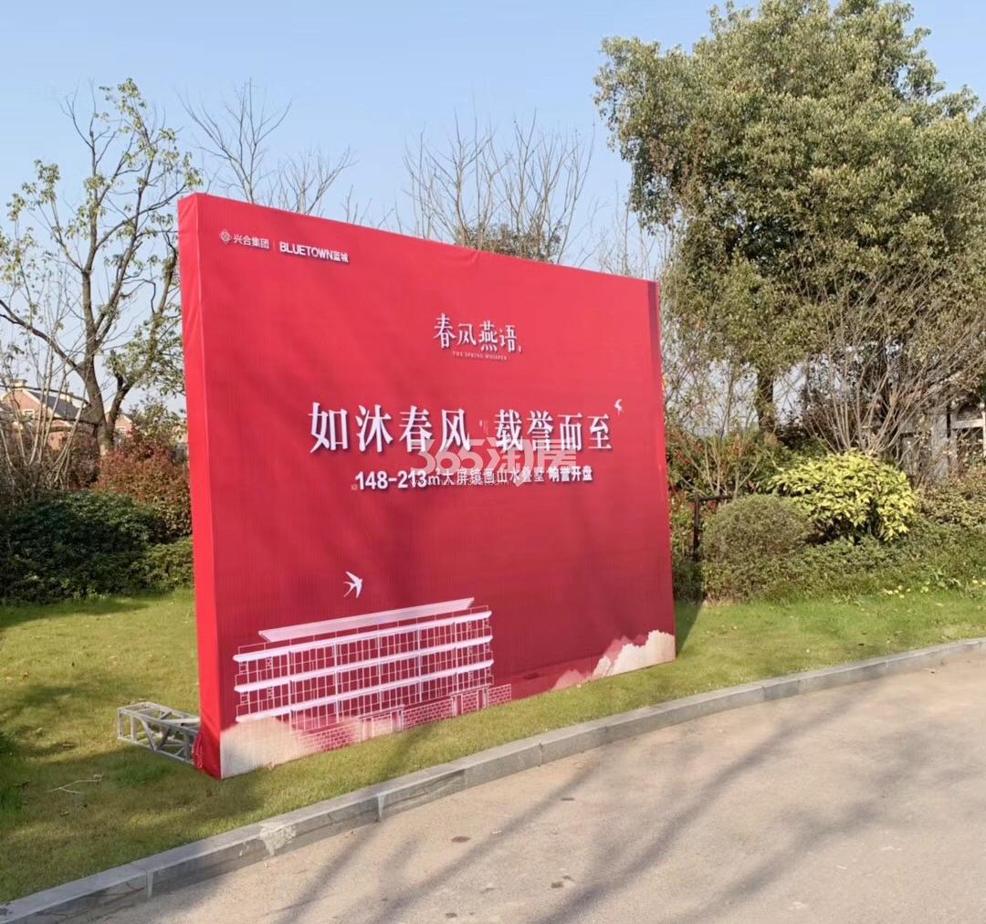 蓝城春风燕语实景图（2019.03）