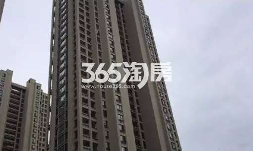 阳光城丽兹公馆8#施工实景图 2017年6月摄