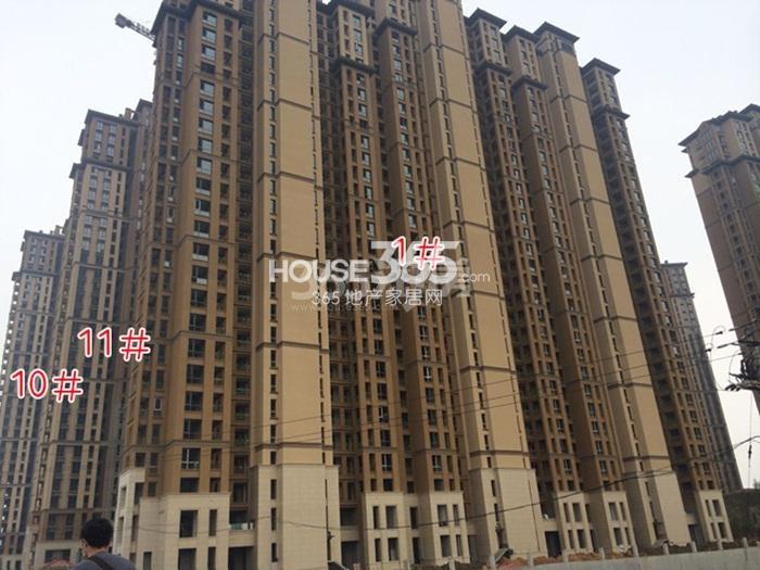 东海闲湖城印象加州1、10、11号楼施工进程图（2015.6）