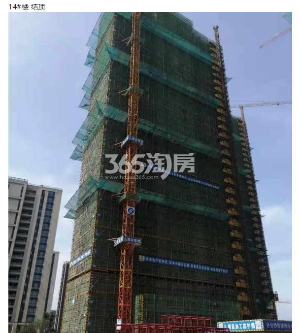 金地滨江万科悦虹湾14#施工实景图（2019年7月摄）