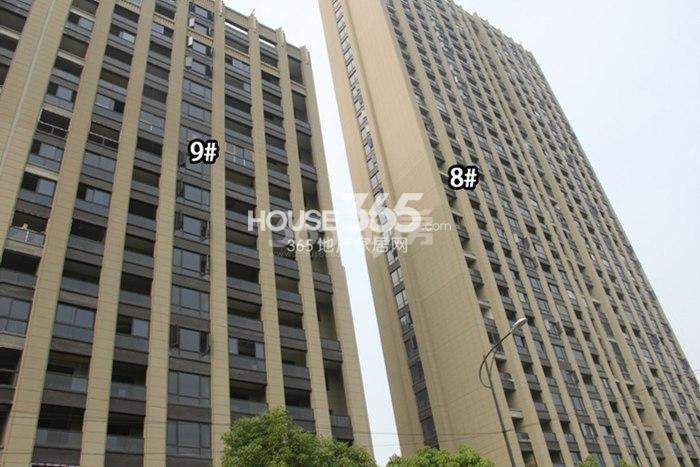 宋都东郡国际二期8、9号楼实景图 2015.6摄