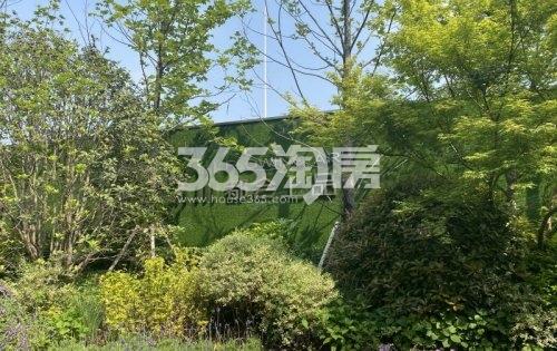 旭辉都会上品示范区实景（5.20）