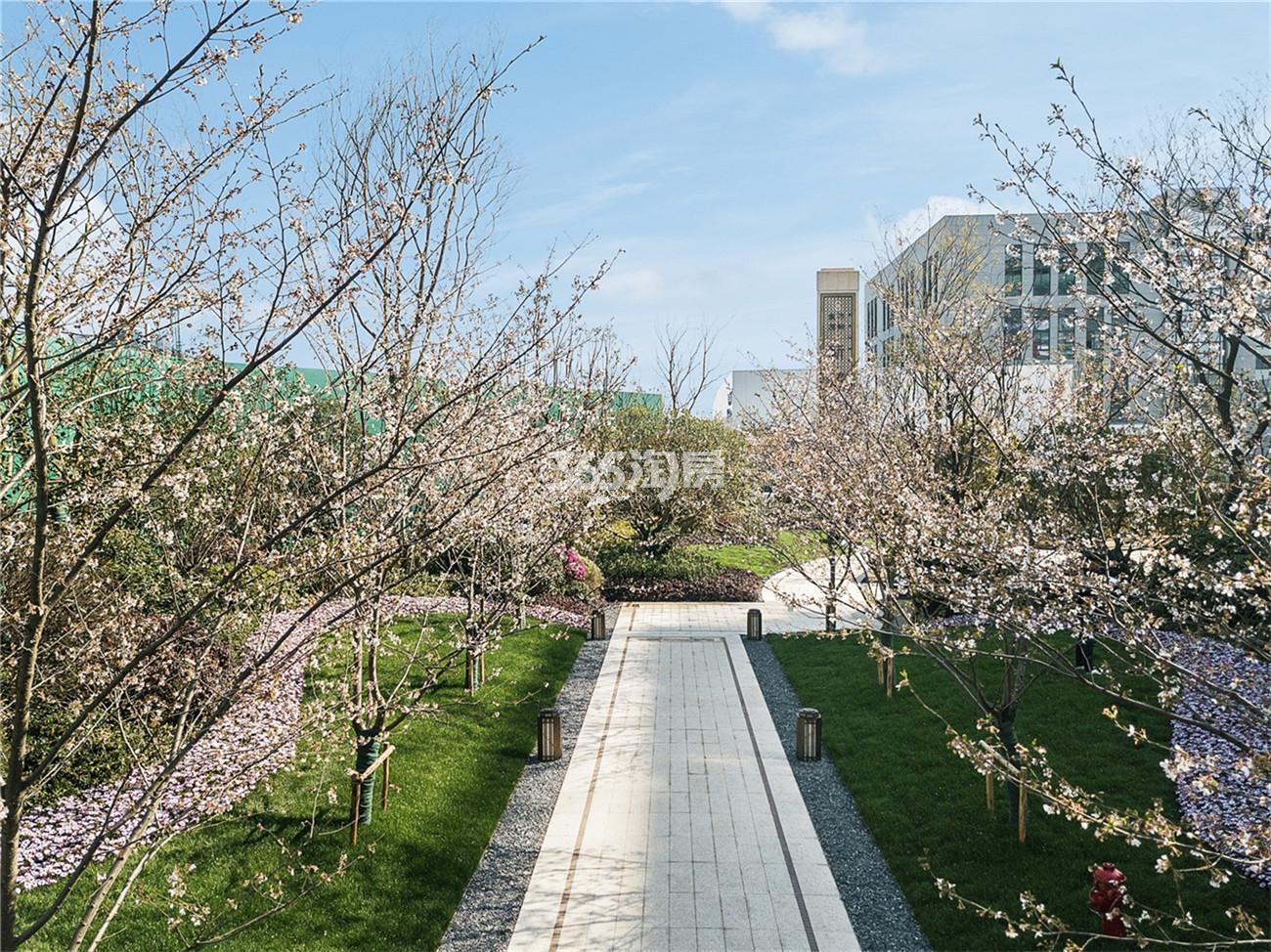 2019年4月初金茂万科新都会美学馆实景