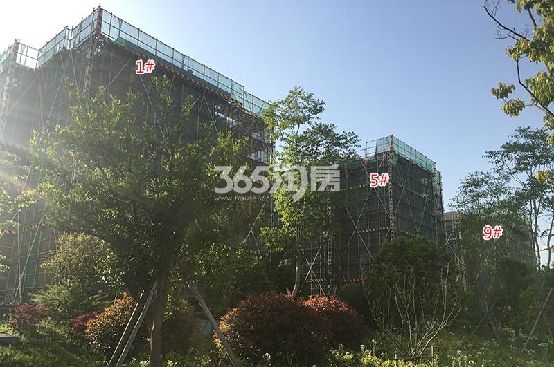 禹洲滨之江北区1、5、9号楼施工实景图（2018.4）