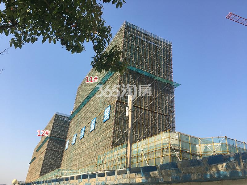 禹洲滨之江北区11、12号楼施工实景图（2018.4）