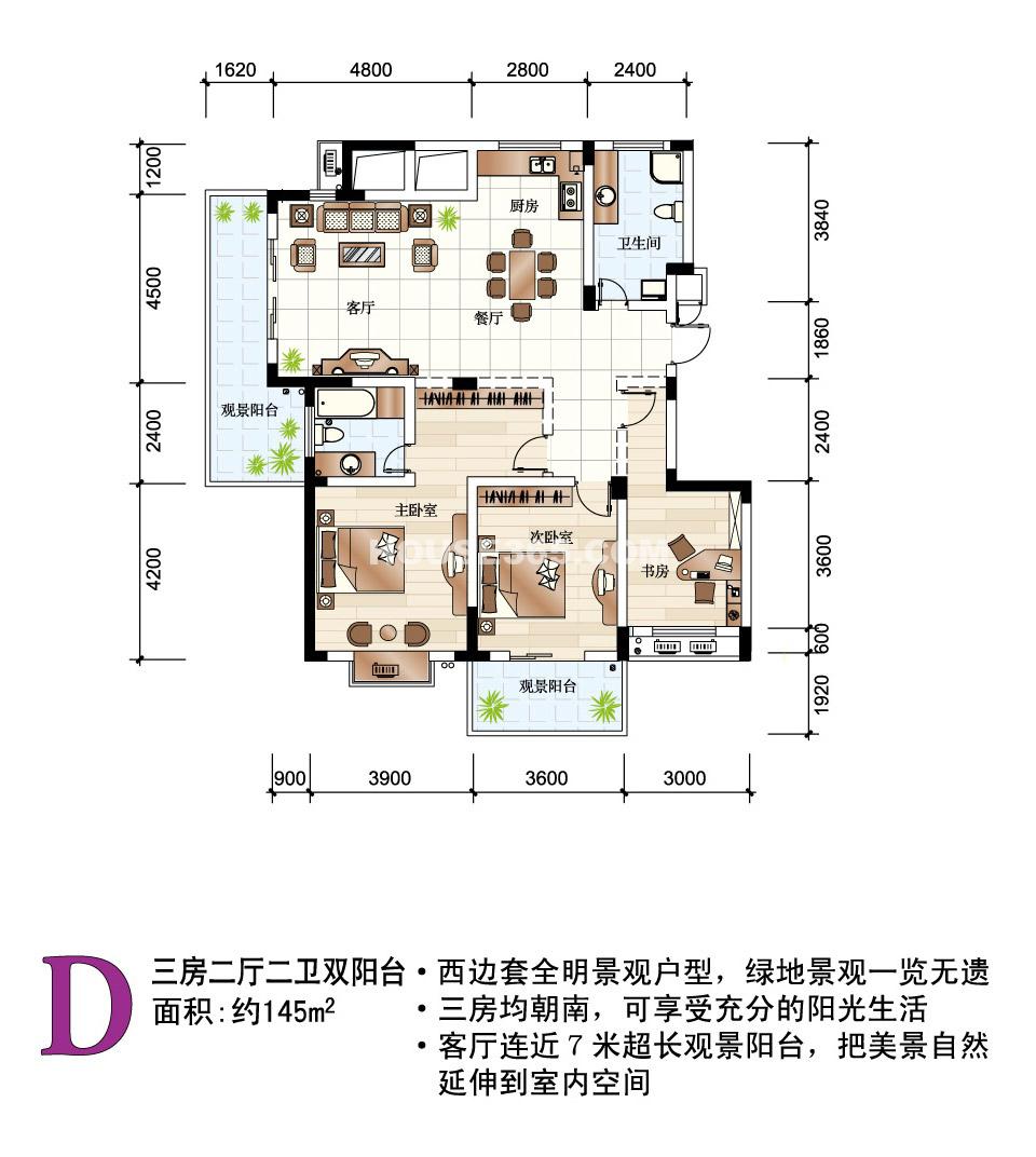 D 145方