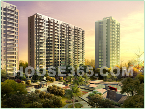 金瑞风景大院效果图