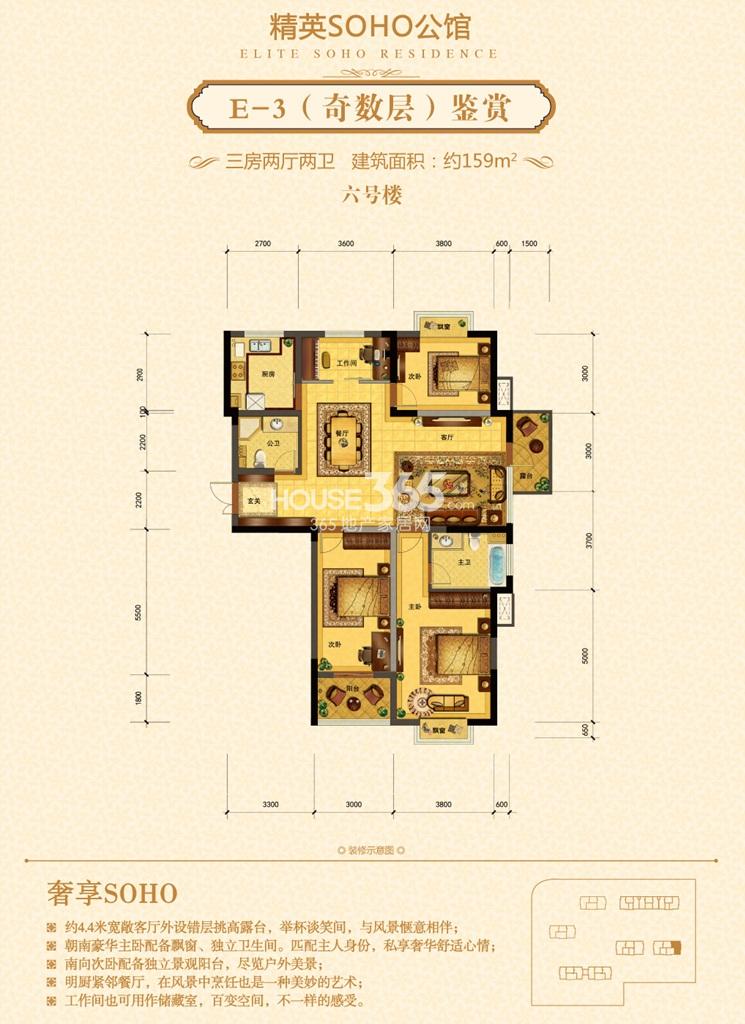 6号楼E-3(奇数层）户型图