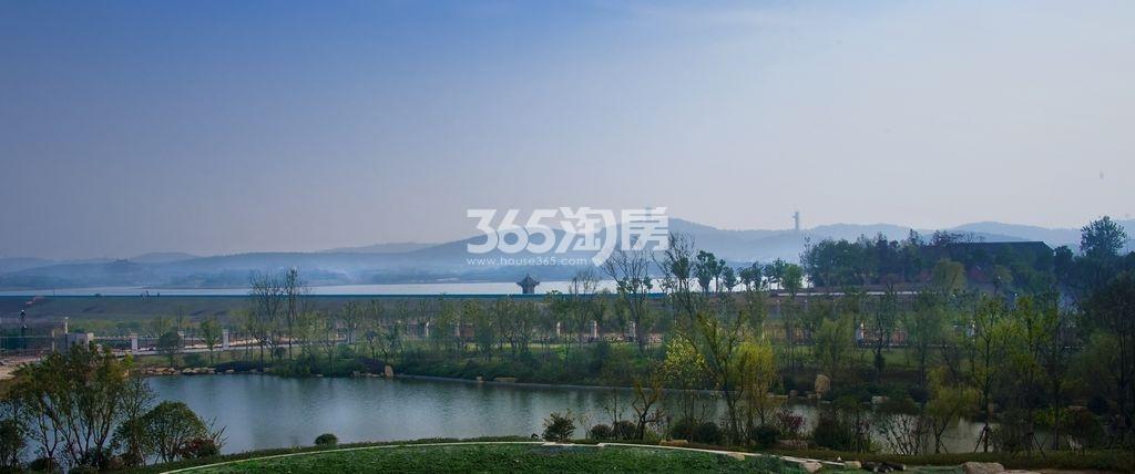 幸福紫蓬小筑生态环境实景图（2019.7.9）