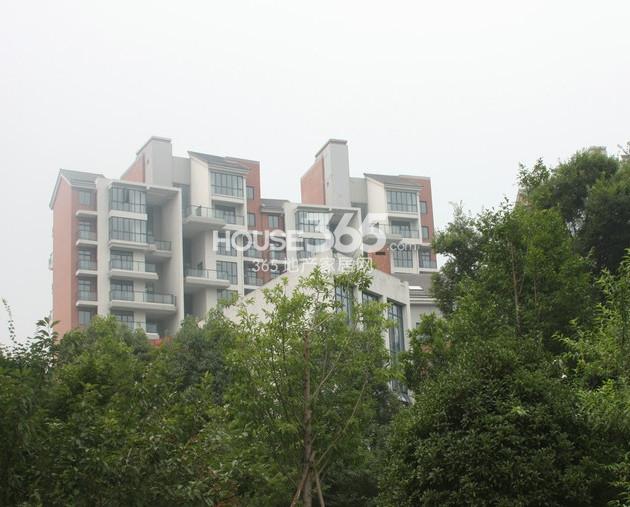 青枫墅园小区实景图（2013.7）