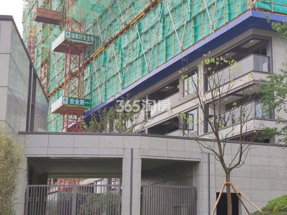 紫辰花园项目售楼处入口实景图（2019.8）