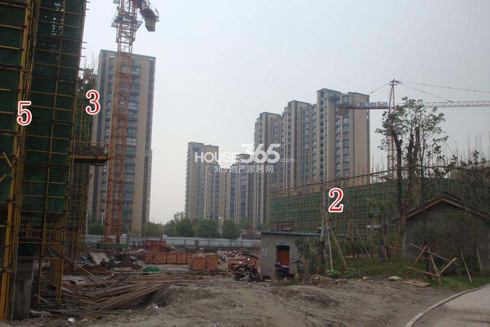 2013.11.13湖漫雅筑项目实景图--2、3、5号楼