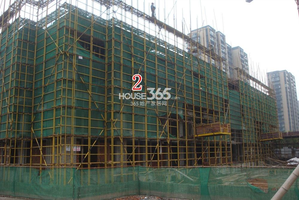 2013.11.13湖漫雅筑项目实景图--2号楼特写