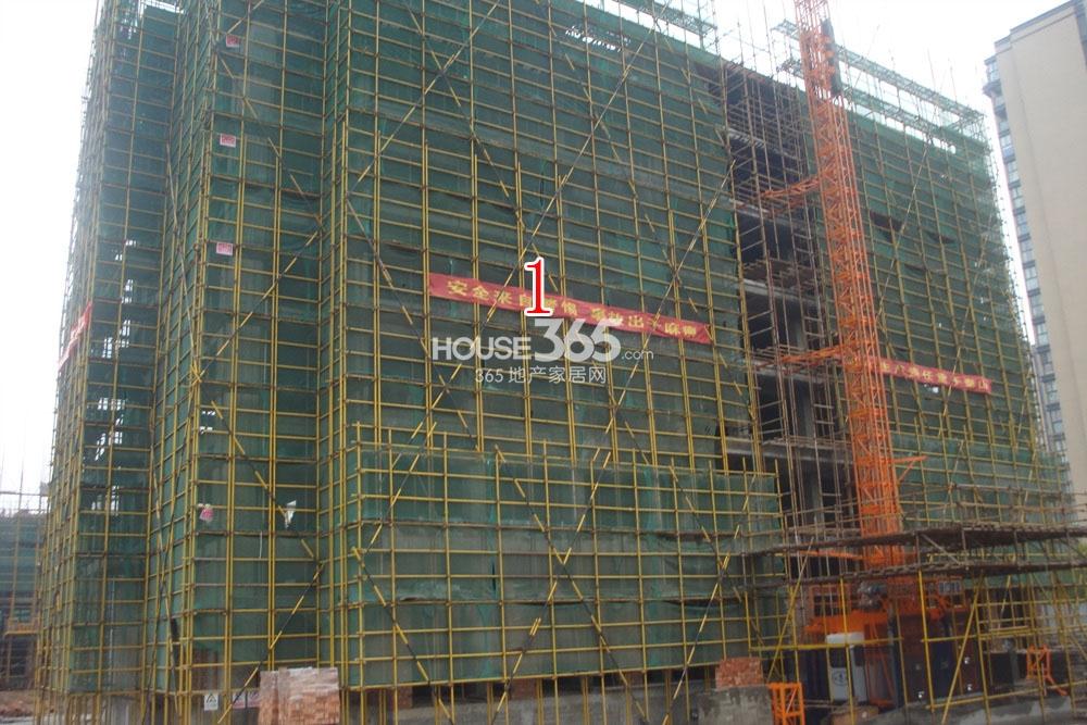 2013.11.13湖漫雅筑项目实景图--1号楼特写