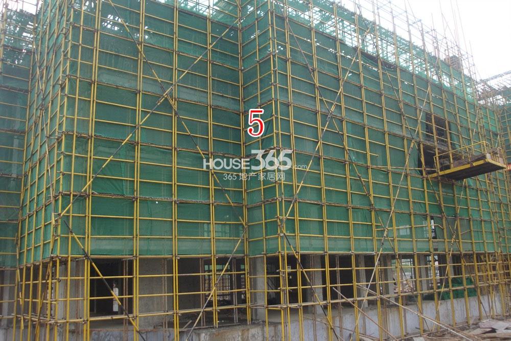 2013.11.13湖漫雅筑项目实景图--5号楼特写