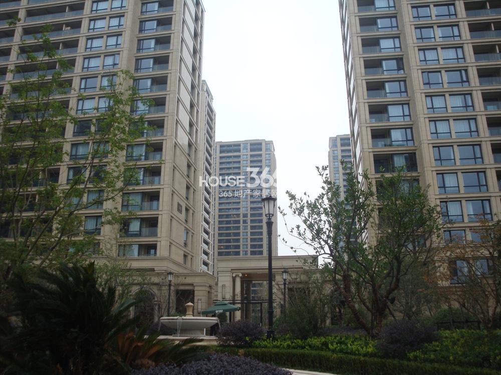 2013.11.13绿城明月江南实景图--已交付入住的东区入户门特写