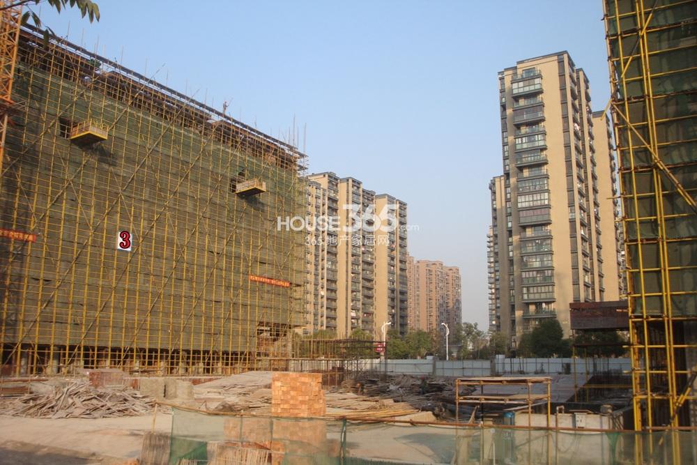 2013年12月中旬湖漫雅筑项目实景--3号楼正面侧拍