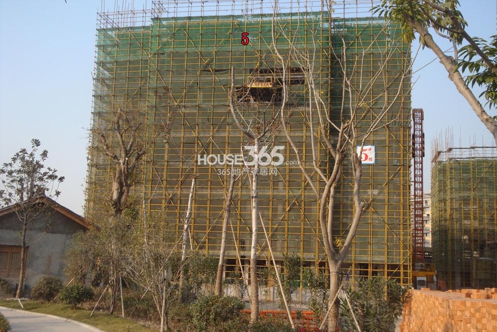 2013年12月中旬湖漫雅筑项目实景--临近长河的5号楼