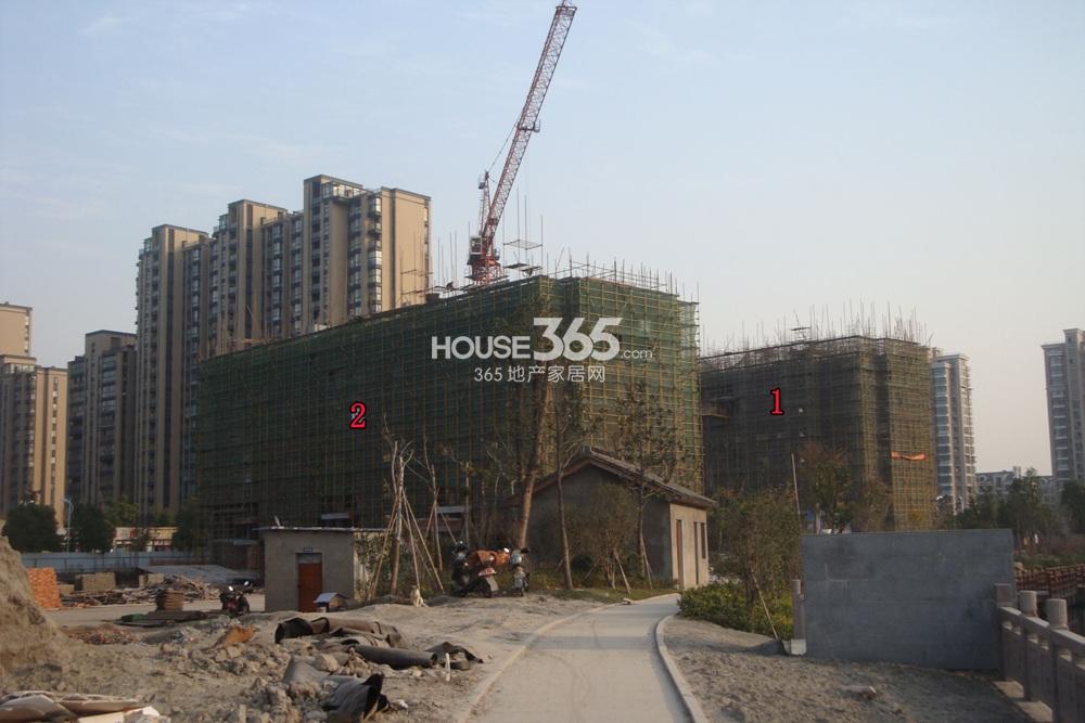 2013年12月中旬湖漫雅筑项目实景--1、2号楼背面