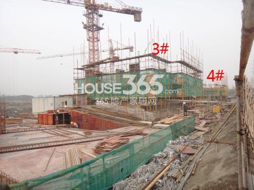 金地格林格林3、4号楼实景图 （2014.2.11摄）