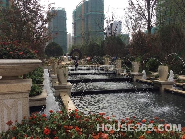 【链上未来的家 弘阳旭日上城 小区环境物业都