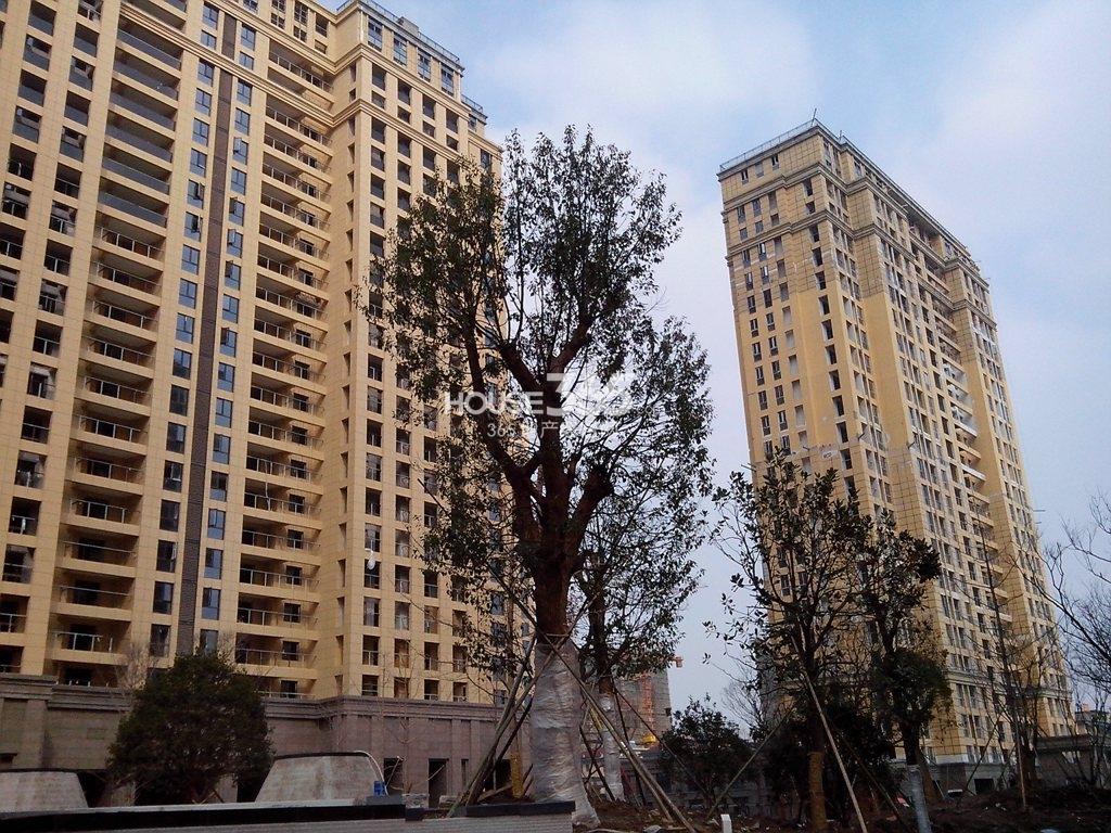 方正荷塘月色14年2月实景图