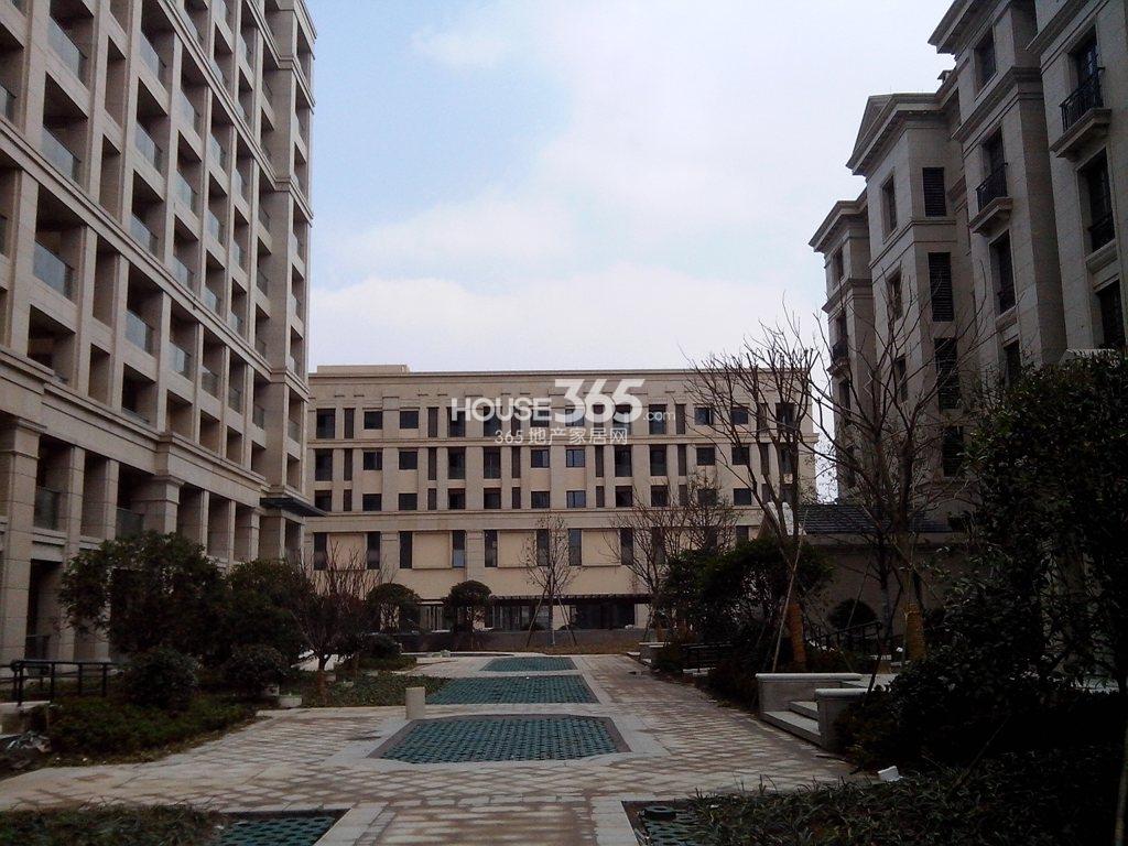 华盛达阅城2月实景图