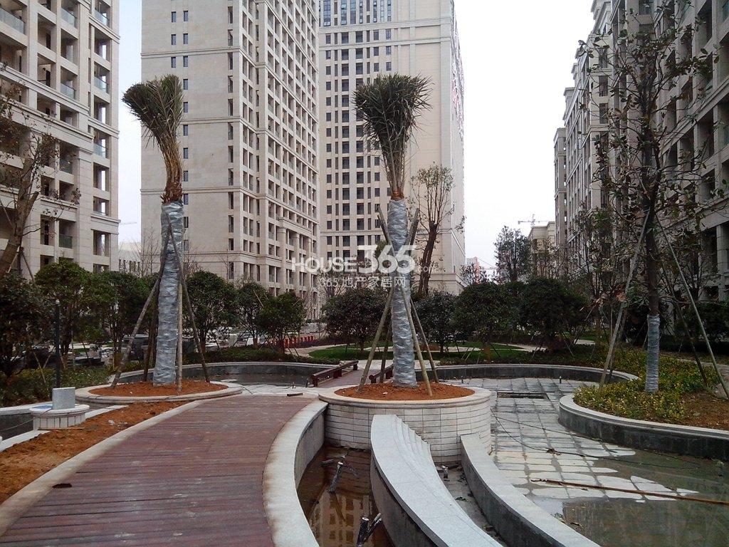 华盛达阅城2月实景图