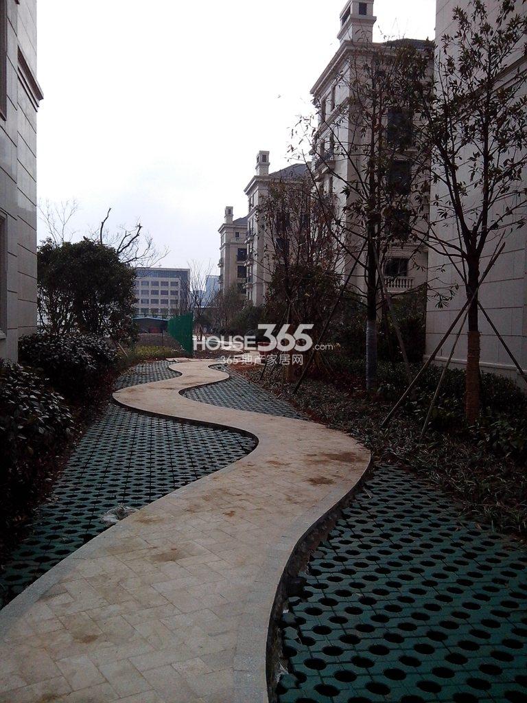 华盛达阅城2月实景图